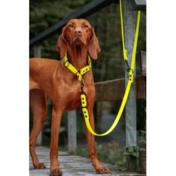 THE DOG IDEA Biothane Hundeleine Neongelb Neon Gelb -Heimtierbedarf Rabatte 459c82f33cd10b54a7810b5b4d2634803ecb9691 1679145 de DE d1c7d4b433a7edd34f2d123975e268b24b5c601fJ1ZjSh