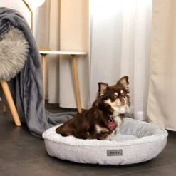 Lionto Rundes Hundebett Grau S -Heimtierbedarf Rabatte 495319c5e5d302912b44d9c5eec4bf5d9f8545a8 1657076 de DE aa318acd7ce25545f999031d1739d15f3d8316c0wpiYjz