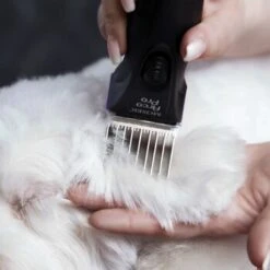 Moser Schermaschine Arco Pro -Heimtierbedarf Rabatte 4a8923d4e135d6dcdc4b5babae8a3f589e005869 01419b78963226934274d63a024e8d91d3673041