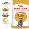 ROYAL CANIN British Shorthair Adult 2 Kg -Heimtierbedarf Rabatte 4b039ca93cfefa6ae8c2adf593bb1d9106ed015a 75be17d699ef2bcb05afc093fd94705d9bfe67c1