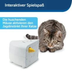 PetSafe Automatisches Katzenspielzeug Cheese -Heimtierbedarf Rabatte 4bf213762b84458348ad4dde222bccd0d8e6f0a8 1418723 de DE 66b781419c3a9a05dbaecf1b142c67f8ea6f21fbRLCfdd