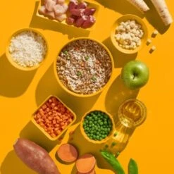 Fred & Felia FRED 10x200g Huhn Mit Reis -Heimtierbedarf Rabatte 4df177d9b2b02154a420d4941abc413f894d2bde 1422064 de DE e6a828c782f8e596bfacddaff55a6cca79947cfbKHPOzt