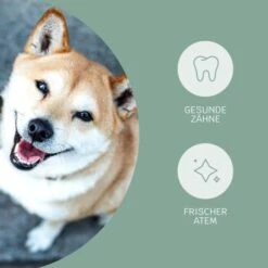 Mammaly Fresh Smile 110g -Heimtierbedarf Rabatte 4dfc3b5d73dfa91add91c3411ca4723de71754ed 1472885 3