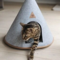 Canadian Cat Company Katzenzelt Cone -Heimtierbedarf Rabatte 5109d27ef761061b6b743871ab0498da3478f504 1394210 de DE f112ffaf078c6f8bf03764511a0d90aab2c21021HdDAgd