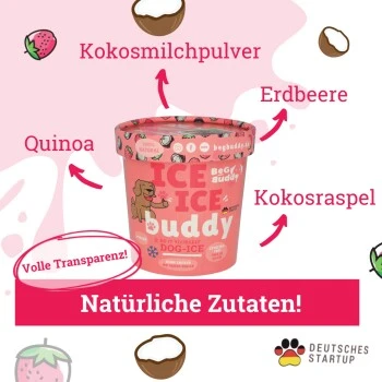 BeG Buddy Starter-Kit Hundeeis, Eis, Erdbeere 4 BeG Buddy Starter-Kit Hundeeis, Eis, Erdbeere – Bild 2