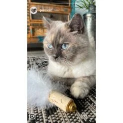 Kater Kasimir Deluxe Set Mit 9 Beliebten Katzenspielzeugen Aus Naturmaterial Und Handgemachtem CATMOM Armband -Heimtierbedarf Rabatte 53dfde9e2fe82dcabccac0c3ca73172551111df6 1408141 de DE 911e17a5e45692f3789ac8bc9aee946048898d74cBDD0E