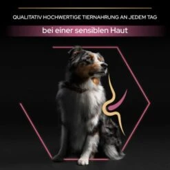 PRO PLAN Optiderma Medium Adult Sensitive Skin 14 Kg -Heimtierbedarf Rabatte 553403db249db42becb171390833d151dc763305 1206429 5