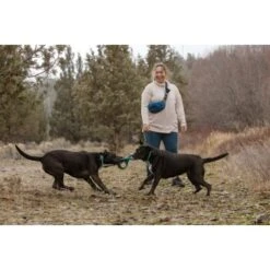 Ruffwear Pacific Ring™ Spielzeug Blau/ Türkis -Heimtierbedarf Rabatte 55dba30b9a5e3fc77d29bb72e0dc6fad83c40ffc 1444351 de DE 8a3b2d989e7fae2c85eabfcfca3bb7709484f9a3jKDH9l