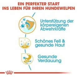 ROYAL CANIN Shih Tzu Puppy 1,5kg -Heimtierbedarf Rabatte 56d85e3b7a854f0c3c469e43d2c3c37f7c39b9f9 bd7c3ec6924c08deee4e224cb6dc47b8888a62ab