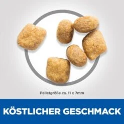 Hill's Feline Science Plan Adult Oral Care 7 Kg 13 Hill's Feline Science Plan Adult Oral Care 7 Kg -Heimtierbedarf Rabatte 56ecd72918f6b25116cc1442f63e2d2973b20147 52742752204 6