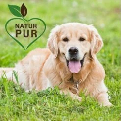 Fit-Crock Classic Lamm Maxi -Heimtierbedarf Rabatte 572aa89bc910e31893995e44aa05ef340fdfa24c 1687099 de DE f696ec27369198bd4394c88715b6b073e090c44aFcn83B