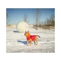 GF Pet Scout Jacke Rot XXS -Heimtierbedarf Rabatte 5991967bf630a1f8d02726fdfd74663dc8e73701 0d63da1ea5654731f0cfde8666f379832b57508d