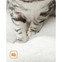 FEANDREA Kratzbaum 86cm Vintagebraun Dunkelgrau -Heimtierbedarf Rabatte 59c8f7dbe684955dce05fd55642a4efbe0124a91 1483574 de DE cb5b6b9bf568cfcabae2338f3d74a869baf9bd1cxK0b3y