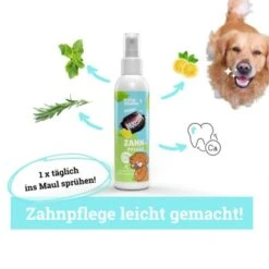 BeG Buddy Zahn Weiß Dental Spray, Zahnpflege & Maulhygiene Hund -Heimtierbedarf Rabatte 5b3372eb043f0db119a0e85f3d34c90bab116c96 1457255 de DE 7657533ab056d7374d5aa135916a306228c0cc85YKTuRr