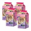 MultiFit Badesand Für Chinchillas 4x1kg 1 MultiFit Badesand Für Chinchillas 4x1kg -Heimtierbedarf Rabatte 5d692a6610dc6618240d4deef0a73962147af92e ec7534da42f8b4d4344993ddfa6f9fa6082a5008