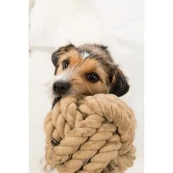 Trixie BE NORDIC Tau-Ball 18cm -Heimtierbedarf Rabatte 5d869bc7db02b7e845c1175f2c29e4b87c83aa5e 1317741 de DE Trixie be nordic Tau Ball wb 3