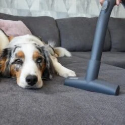 THOMAS Perfect Air Animal Pure -Heimtierbedarf Rabatte 603137fb8b3080096fe34bb0ce0b35713a0081ec 1406731 de DE 61ffd08a4c243aaa506c87a5b11107f7ffeaf308tEO6cw