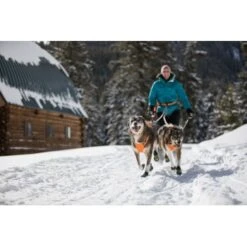 Ruffwear Omnijore™ Joring System L-XL -Heimtierbedarf Rabatte 606b44d7bd8393842ff5128c769dfb27ee2d7907 1444283 de DE 889f2323c0a4fd9c6c11c90ae5b9f457b9885318j6h9gK