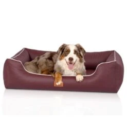 Knuffelwuff Orthopädisches Hundebett Aus Kunstleder Lovelock Bordeaux M-L -Heimtierbedarf Rabatte 6255a556979a4796fcbc28c238da9224cfb8661f 1412201 de DE 815d50cee4eb3eb78e6ede8d498a09045e4968f0ueFgBo