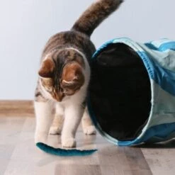 Kater Kasimir 3 Handgerollte Filzwürmchen Aus Schurwolle + 1 Mini-Flasche Katzenminze-Spray -Heimtierbedarf Rabatte 628f7d1d4ec1f70990cd24d861db16d7b447278c 1409266 de DE e1034005335ef5de37662c8ab367f77b33e0f5830ItxtL