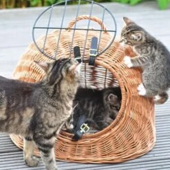 Aumüller Rattanhöhle Gesottene Weide 8 Aumüller Rattanhöhle Gesottene Weide -Heimtierbedarf Rabatte 644da56b8da52f185185b101fb3460690748ee17 ed38553d0e52453b951e62f08b371eb8a64cf3ed