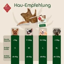 ChronoBalance Kaugeweih Damhirsch (S) 2er Paket -Heimtierbedarf Rabatte 66dad232a7a3277a8c2b14c2f9028958861bcd91 1418695 de DE 9d0fae21483906190d35a659049e257a0043b15en4pXJB