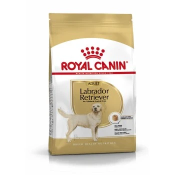 ROYAL CANIN Labrador Retriever Adult 12 Kg 9 ROYAL CANIN Labrador Retriever Adult 12 Kg – Bild 7