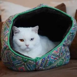 Canadian Cat Company Katzentunnel COSMO M -Heimtierbedarf Rabatte 67f448259cbca2b76f0f056d6321e3f462cbbfb2 1412665 de DE 5bb2b25340ddb934c05b11da4b3410ce26fcf1f8fEc8B6