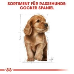 ROYAL CANIN Cocker Puppy 3kg -Heimtierbedarf Rabatte 68fdcc1bd44edabf0dacf16e4d550dc22a85ee95 b436ffccd3e8e5f8e1b88dd5cd77346c954d8d0e