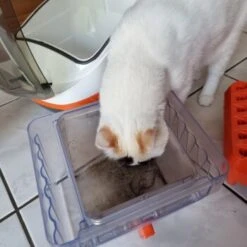 THOMAS Staubsauger -Heimtierbedarf Rabatte 6a70c632a0bab42059bec4b43d139a5d2e40f9ae 1406733 de DE e7e44b3ec14bf6f4d989c5887e4e07bdd5895c48xakBwm