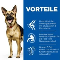 Hill's Canine Active Longevity Mature Adult 6+ Senior Large Breed 14 Kg 13 Hill's Canine Active Longevity Mature Adult 6+ Senior Large Breed 14 Kg -Heimtierbedarf Rabatte 6aef2dc6c63c040d4fa47f8a4eb80d66def76689 52742025926 4