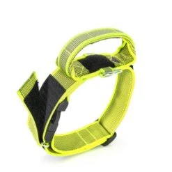Julius K9 JULIUS-K9 Halsband Mit Griff 50mm Neon Gelb -Heimtierbedarf Rabatte 6d974eed80600aae5610e6f937ce73cb97345cc1 1346788 de DE K9 3