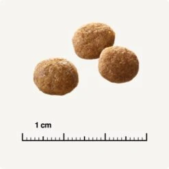 SELECT GOLD +12 Senior Geflügel & Reis 2,5 Kg -Heimtierbedarf Rabatte 6db53d99e99530132bf34d8482d69f423780c004 1081823016 de DE 6 1