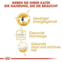 ROYAL CANIN British Shorthair 12x85g -Heimtierbedarf Rabatte 6f1dc92b9b52a43d2267d34aab253596e7be143a 7f0fd40bf73b9dd0972df6cd9651a951bdb28212