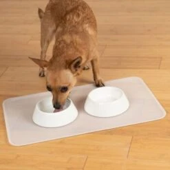 KaraLuna Basic Napfunterlage Transparent S -Heimtierbedarf Rabatte 6f92b46b9666870298738b4bee75a50ee534fac6 1407499 de DE 14497c23a79b7136237df13f9c32b5ed84fd5ff04vyZgl