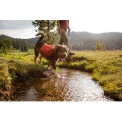 Ruffwear Front Range™ Hundetagesrucksack Rot XS -Heimtierbedarf Rabatte 6fcda691161ff080a6f6075669f57b606bb5abbe 1639836 de DE 827ca11f058fc24bc21d1c4bb6cec8d9576cc1835E84NB