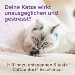 Beaphar CatComfort Excellence Starter-Kit 48ml -Heimtierbedarf Rabatte 6fdca6f354e1543df4c6d643f7d274cd6651ccda 1416646 1 2