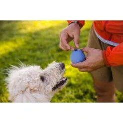 Ruffwear Turnup™ Spielzeug Violett -Heimtierbedarf Rabatte 708e59a1fbc9e9a4e5a251230d3a5a466a41cd46 1639873 de DE aed329193f910634e544626b706606bf1d9a42e0yMTSe3