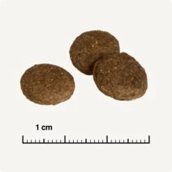 REAL NATURE Country Selection Senior Alpine Truthahn & Alpenrind 12 Kg -Heimtierbedarf Rabatte 753a4bdf08271c904717a55ecd12284d07a07842 1325174 de DE 6