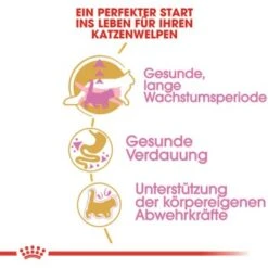 ROYAL CANIN Maine Coon Kitten 4 Kg -Heimtierbedarf Rabatte 762fe3d95c521f1c9aed31bc11ea5f813cb64625 48abad1c00ba32352c5f4e40b8a5a9d5e4dec65f