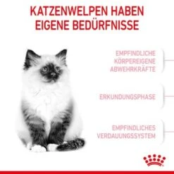 ROYAL CANIN Kitten 4 Kg 14 ROYAL CANIN Kitten 4 Kg -Heimtierbedarf Rabatte 76c69f287cfbe56e3ecbc6374c1c83282049ff9f 3182550702973 4