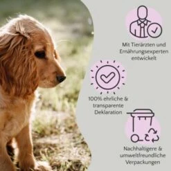 FAVLY Petfood FAVLY Probierpaket "Snack It" -Heimtierbedarf Rabatte 76de882c7775b6f702fd4d6da347da46c83b7668 1475299 de DE 908544d2c24927cde4ce8f1acefe41ebea7bec29ERVYJt