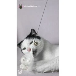 Kater Kasimir Premium Katzenangel Mit 4 Handgemachten Anhängern Aus Naturmaterial -Heimtierbedarf Rabatte 770b4a4773ed49d435287f5ac0f03f94a117604e 1408150 de DE d77919138410a09ab67416f25ec15e6664e9d2ac4JZFQJ