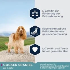 EUKANUBA Breed Specific Cocker Spaniel 7,5kg -Heimtierbedarf Rabatte 789de7a0283f46da6e4749fa099ea83b92fb80f2 afb40c73f9aec76d202ff175bd4233f0448685b1