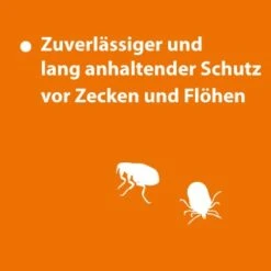Ardap Spot-On Für Katzen S -Heimtierbedarf Rabatte 78ef3007d4b9c3eb8d62bd9c80f14e6d1dd5144b 1150895 de DE 123c08947d68d259b6ba6ec3ce1852e52370e4d7UNfXiR