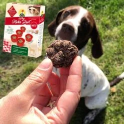 ChronoBalance Backmischung Für Hundekekse Getreidefrei + Form Mit Apfel & Dinkel -Heimtierbedarf Rabatte 791cb4d2028c3feba1e17eb7afcd1dc0477a3e51 1409548 de DE 8fa4e8db7b8a77ca60b4ef08f2d4cbbb72f1ad0bO5ya0q