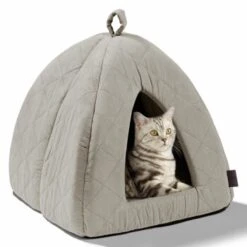 MORE Höhle Diamond 25 MORE Höhle Diamond -Heimtierbedarf Rabatte 7939acaef98cdb9195a642e4ff359691740fc0e9 84dbe0d60d2ca1e5170055a2164cc0d47aaedf72