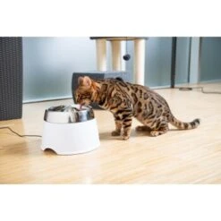 AniOne Edelstahl-Trinkbrunnen Trevi Ohne Ersatzfilter -Heimtierbedarf Rabatte 7a066af048695bbfaeca0a855e5984fc3bf99d03 689fcf415d486ac05c07f2a4868b1d087d7a9ece