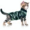 Trovet Katzenbody Recovery Suit XS 2 Trovet Katzenbody Recovery Suit XS -Heimtierbedarf Rabatte 7ad0fffdd76bbebfa8c0171c143c39460980b4a6 a96de6f4538d86c6d97896ea896c78b4dc062293
