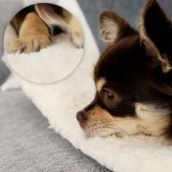 Lionto Selbstheizende Wärmematte Für Haustiere -Heimtierbedarf Rabatte 7b7478322070a88393ca3a5ce3bc6fc7dc82a6ad 1665986 de DE 051d4bf94c6c9b490452613e4a20003dcd71ba8cXGeo9D